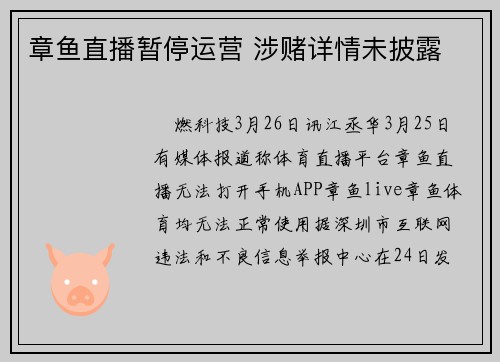 章鱼直播暂停运营 涉赌详情未披露